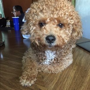 Meet your Posher, Kimberly